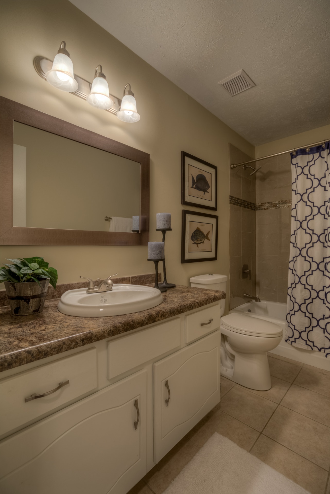bathroom remodel